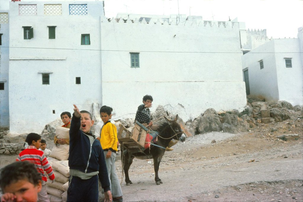 Notes from Tetouan Slow: A Travel Diary — Tetouan, Morocco travel guide