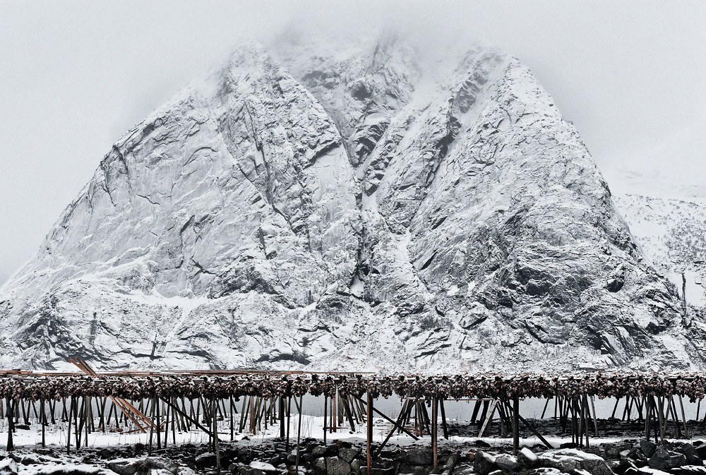 Notes from Reine Lofoten Slow: A Travel Diary — Reine, Norway travel guide