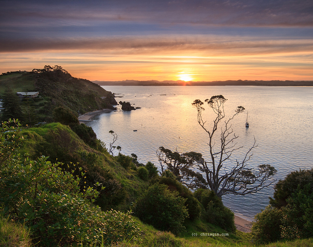 Notes from Russell Bay Slow: A Travel Diary — Russell, New Zealand travel guide