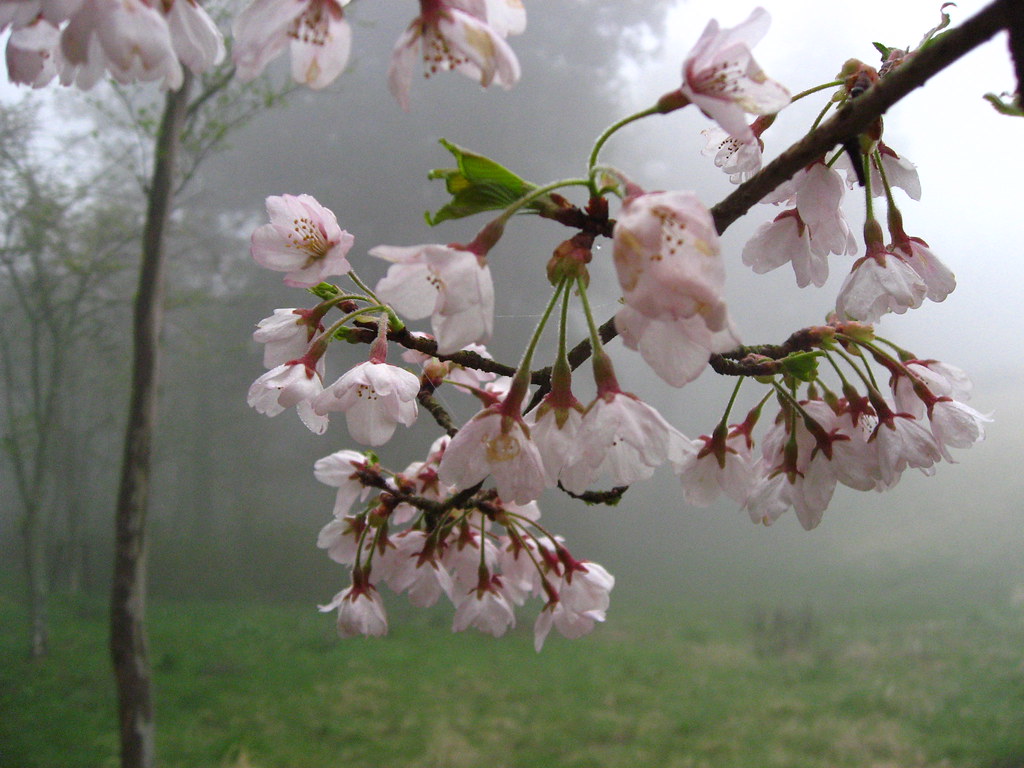 Notes from Hakone Slow: A Travel Diary — Hakone, Japan travel guide