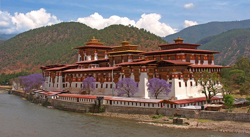 Notes from Punakha Slow: A Travel Diary — Punakha, Bhutan travel guide