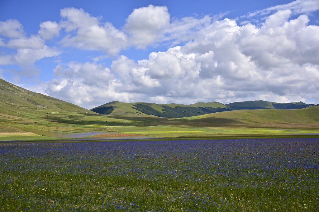 Notes from Castelluccio Slow: A Travel Diary — Castelluccio di Norcia, Italy travel guide