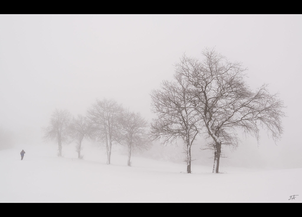 Notes from Basque Country Slow: A Slow Travel Diary