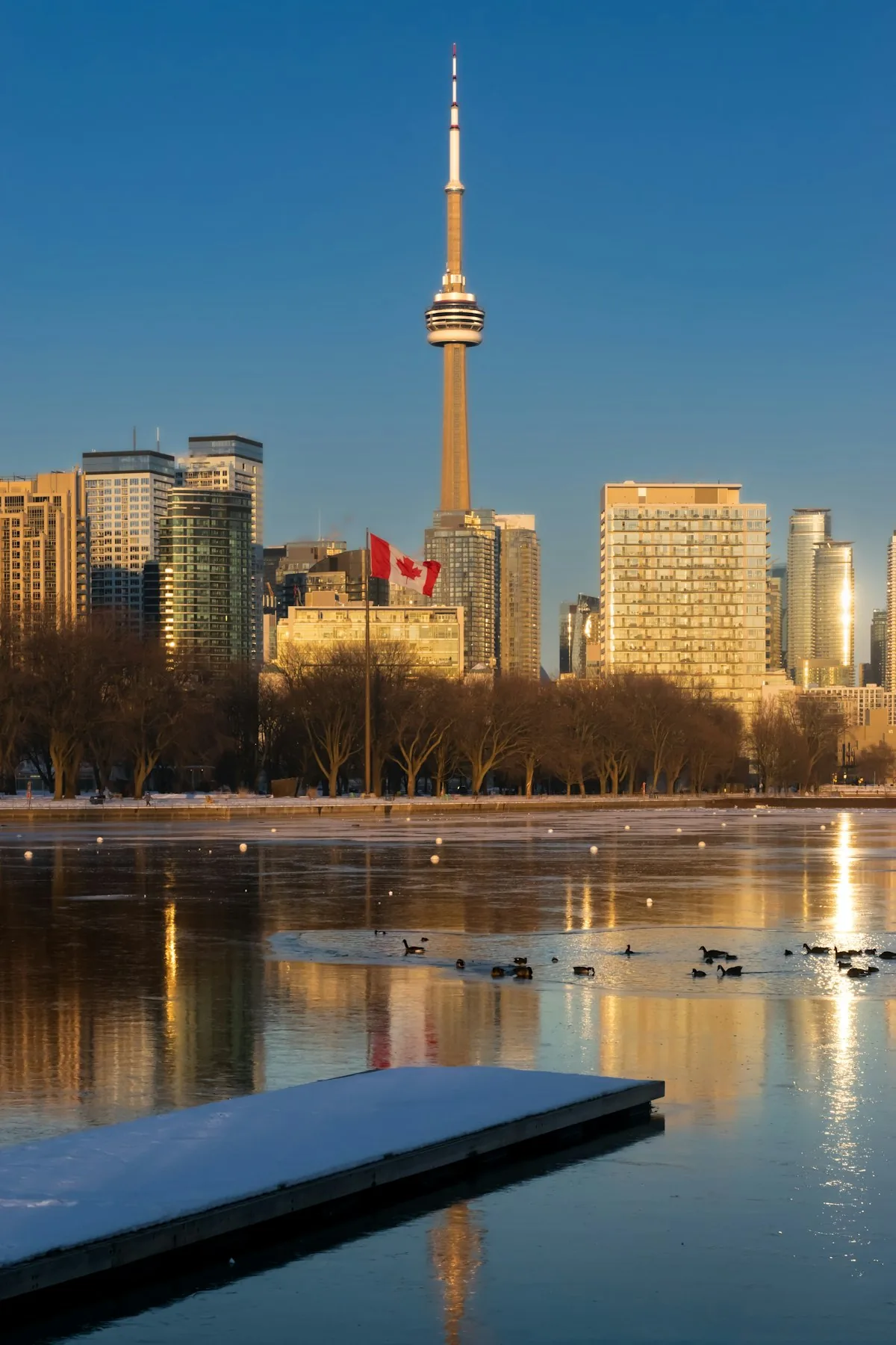Notes from Toronto: Streets, Light and Slow Mornings — Toronto travel guide