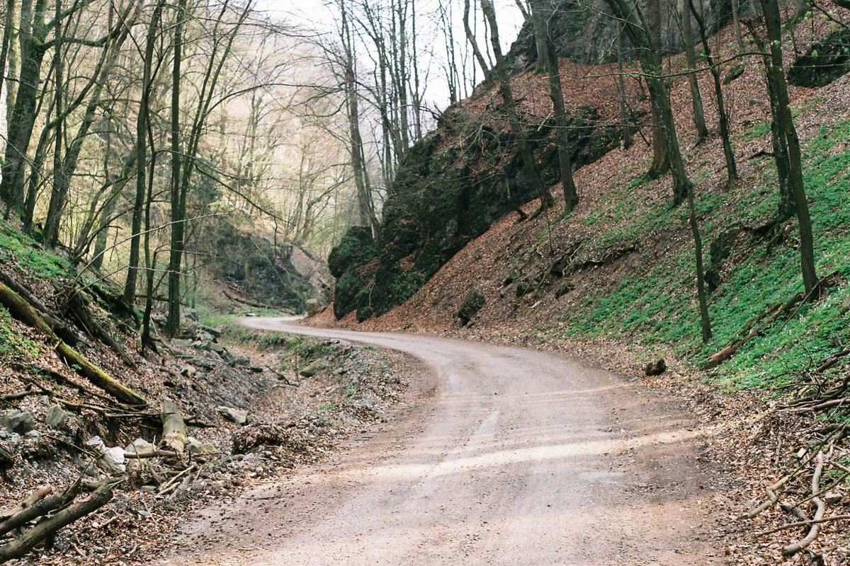 Notes from Sighisoara Slow: A Travel Diary — Sighisoara, Romania travel guide