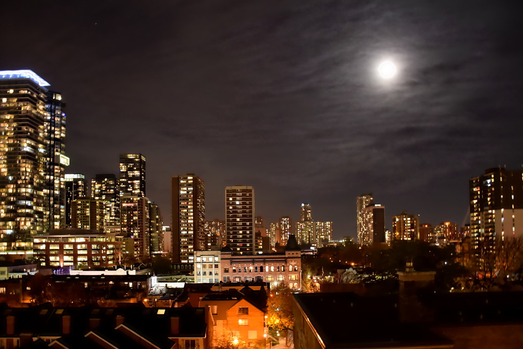 Notes from Toronto: A Slow Travel Diary