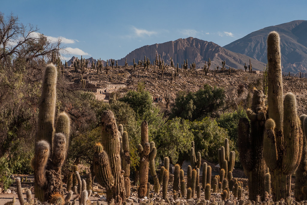 Notes from Tilcara Slow: A Travel Diary — Tilcara, Argentina travel guide