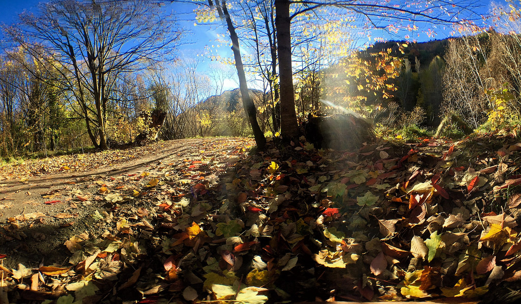 Notes from Arrowtown Slow: A Travel Diary — Arrowtown, New Zealand travel guide