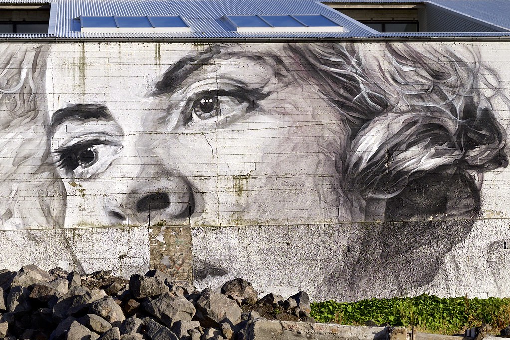 Notes from Reykjavik: Streets, Light and Slow Mornings