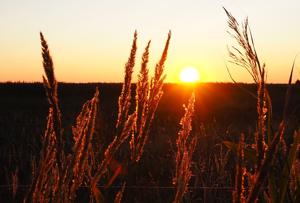 Notes from Saaremaa Slow: A Travel Diary — Kuressaare, Estonia travel guide