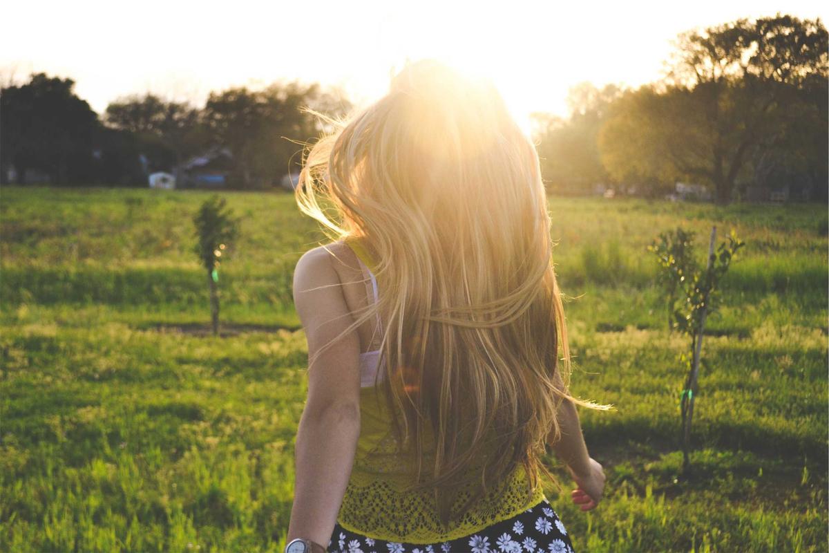 Notes from Mozu-Furuichi Kofun Group: A Story from Kansai — Osaka, Japan travel guide