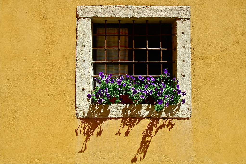Notes from Verona: A Slow Travel Diary