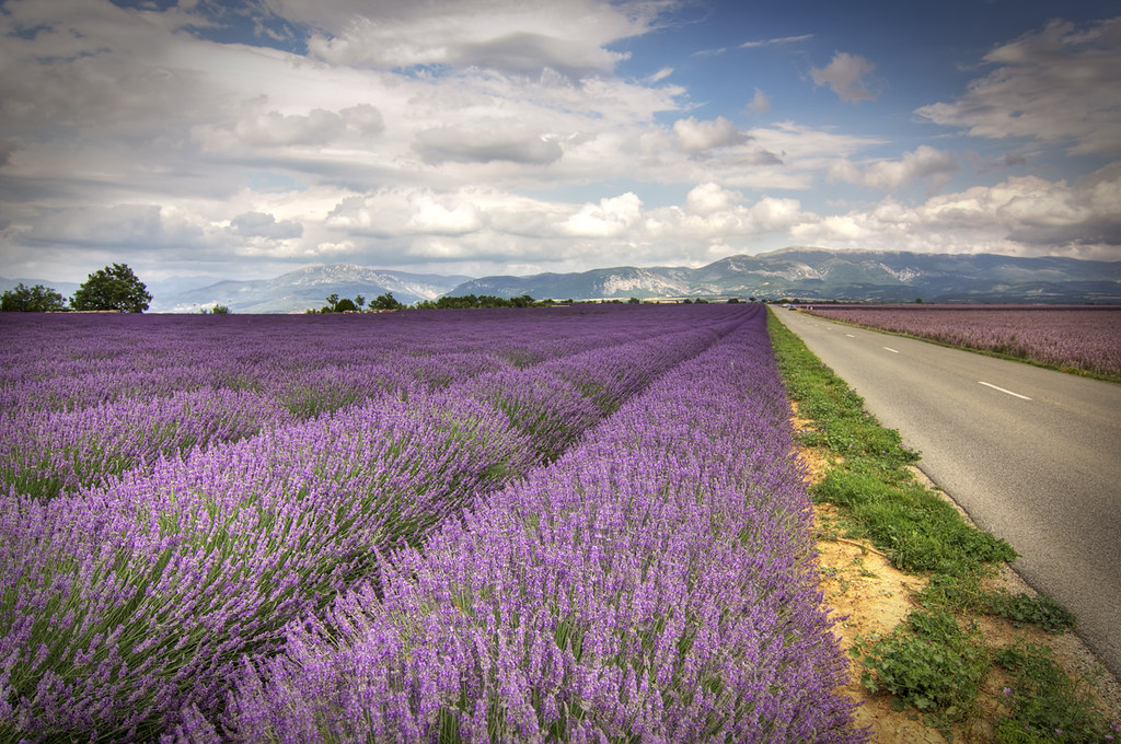 Notes from Moustiers-Sainte-Marie Slow: A Travel Diary — Moustiers-Sainte-Marie, France travel guide