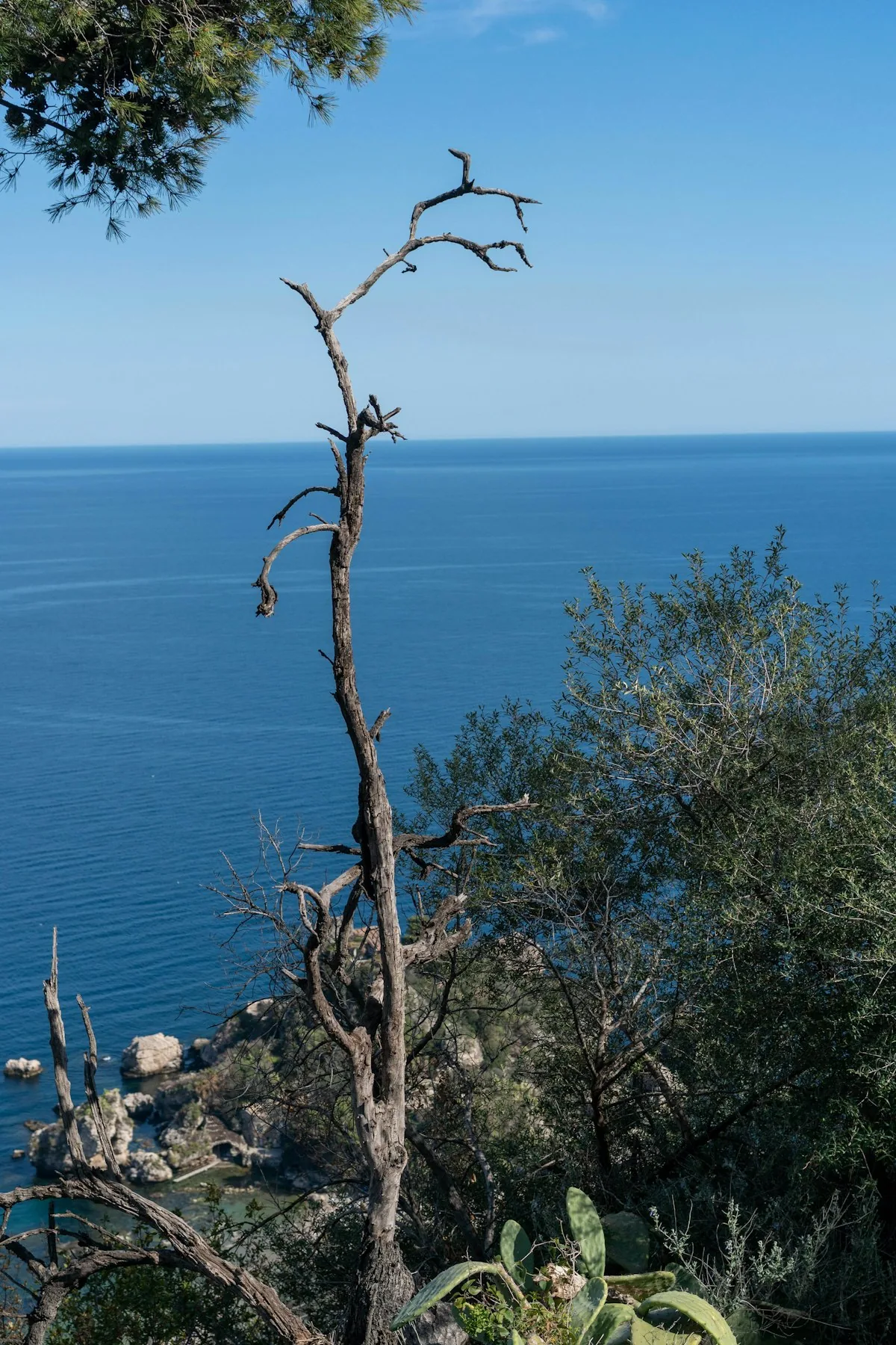 Notes from Sicily: Streets, Light and Slow Mornings — Sicily travel guide