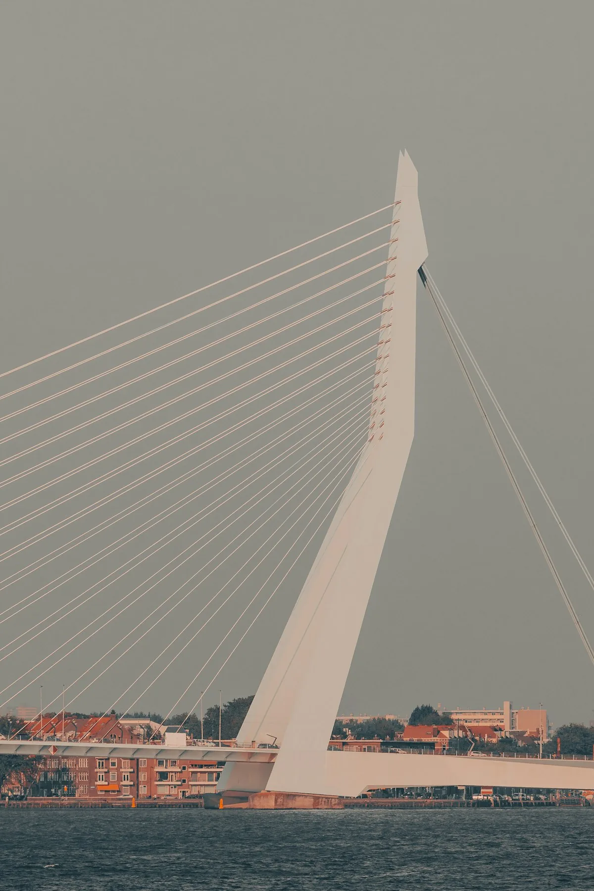 Notes from Rotterdam: Streets, Light and Slow Mornings — Rotterdam travel guide
