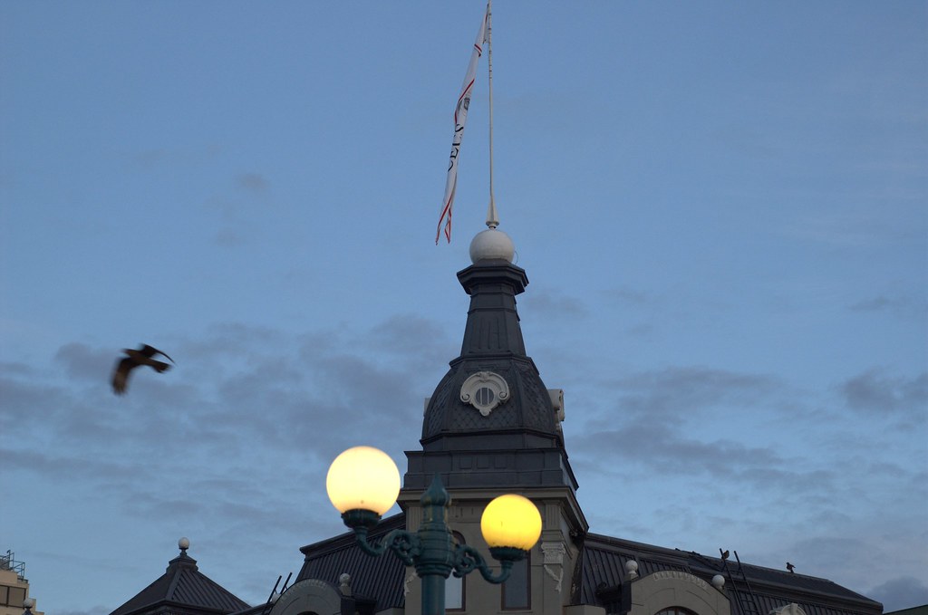 Notes from Valdivia Slow: A Travel Diary