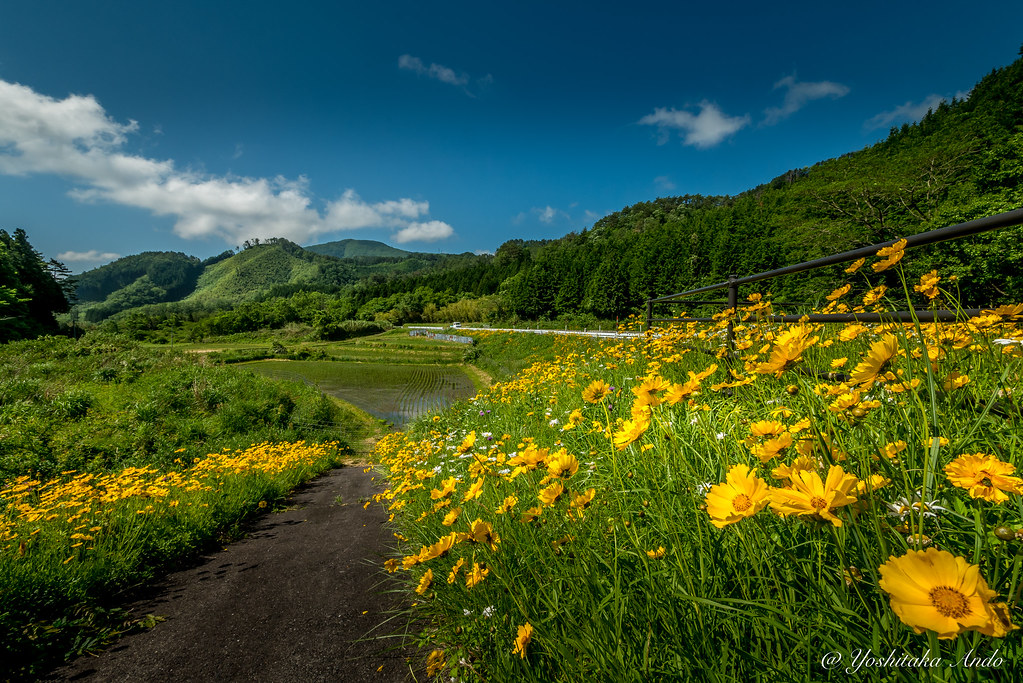 Notes from Tsuwano Slow: A Travel Diary — Tsuwano, Japan travel guide