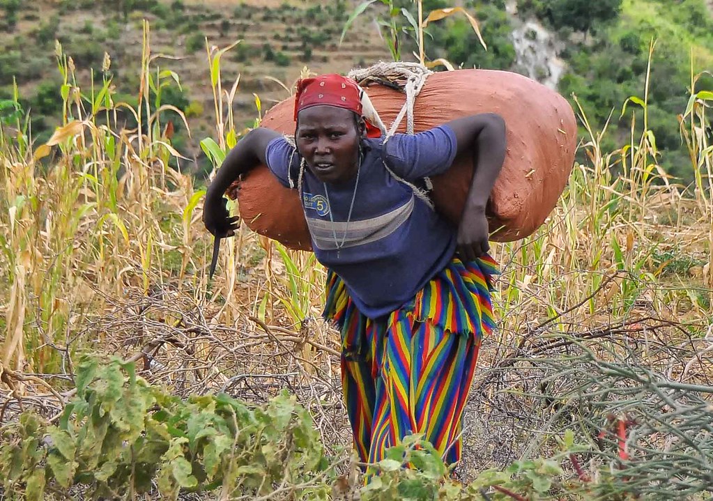 Notes from Konso Cultural Landscape: A Story from SNNPR — Konso, Ethiopia travel guide