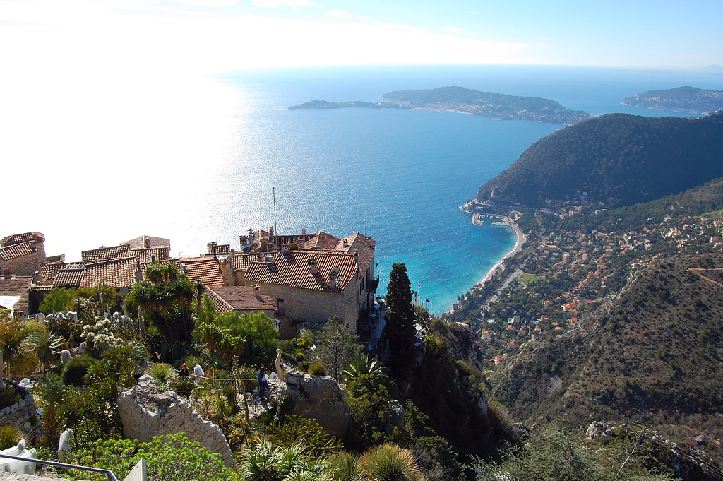 Notes from Provence Lavender: A Slow Travel Diary