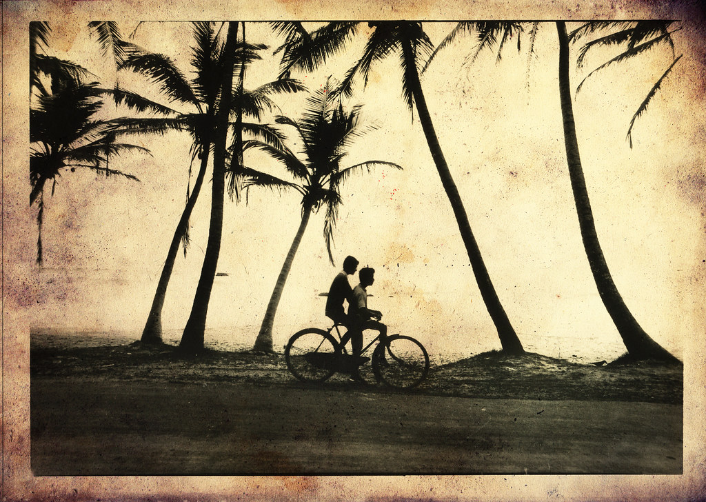 Notes from Goa: A Slow Travel Diary