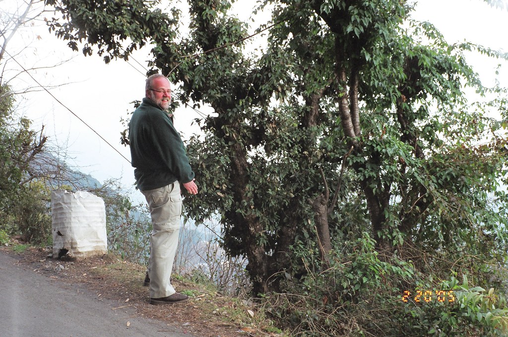 Notes from McLeod Ganj: A Travel Diary
