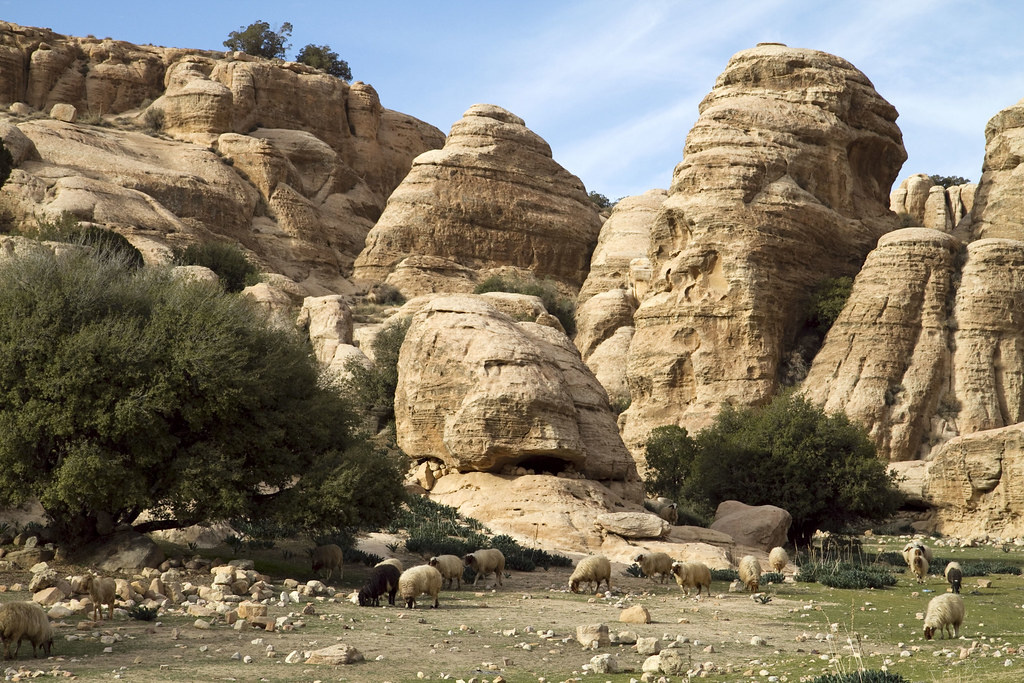 Notes from Dana Village Slow: A Travel Diary — Dana, Jordan travel guide