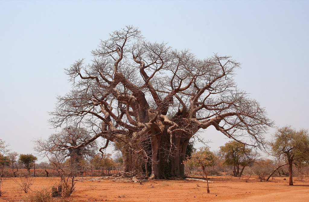 Notes from Khami Ruins National Monument: A Story from Matabeleland — Bulawayo, Zimbabwe travel guide