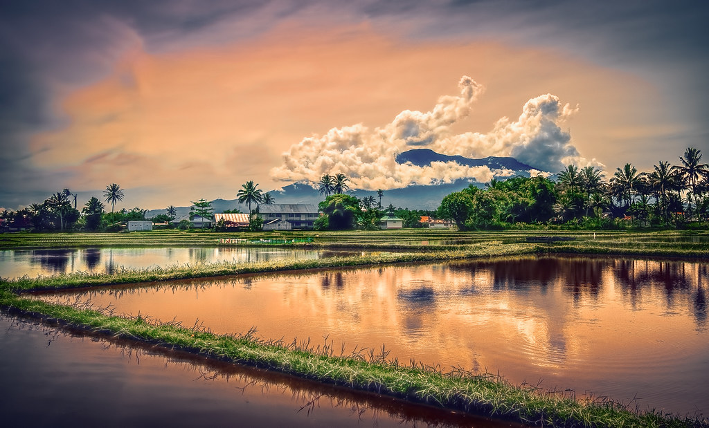 Notes from Bukittinggi Slow: A Travel Diary — Bukittinggi, Indonesia travel guide