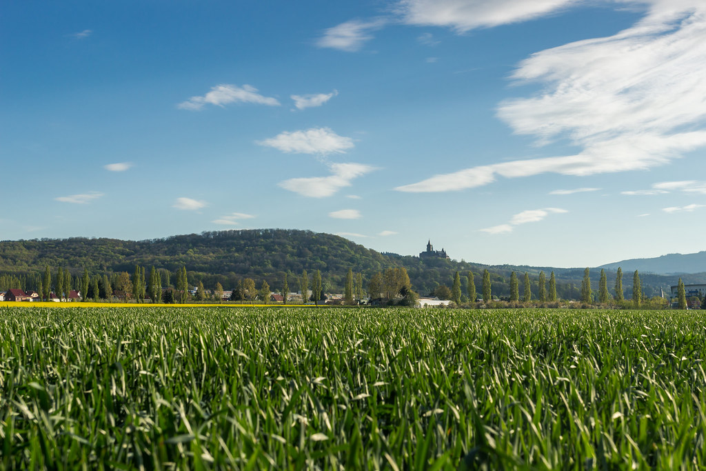 Notes from Wernigerode Slow: A Travel Diary — Wernigerode, Germany travel guide