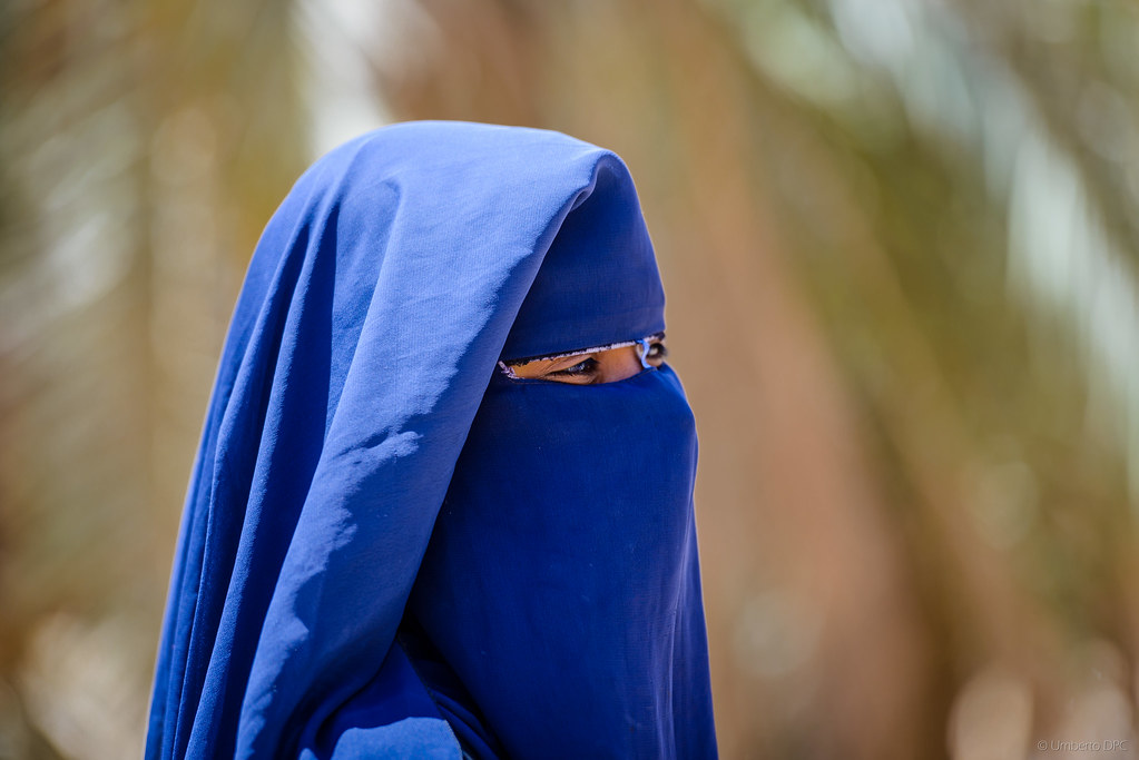 Notes from Siwa Oasis Slow: A Travel Diary — Siwa Oasis, Egypt travel guide