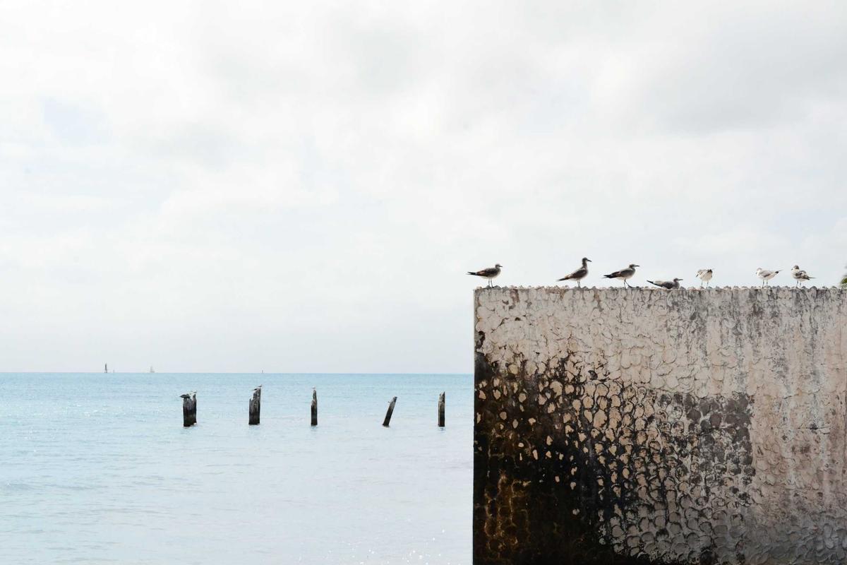 Notes from Pucon Slow: A Travel Diary — Pucon, Chile travel guide