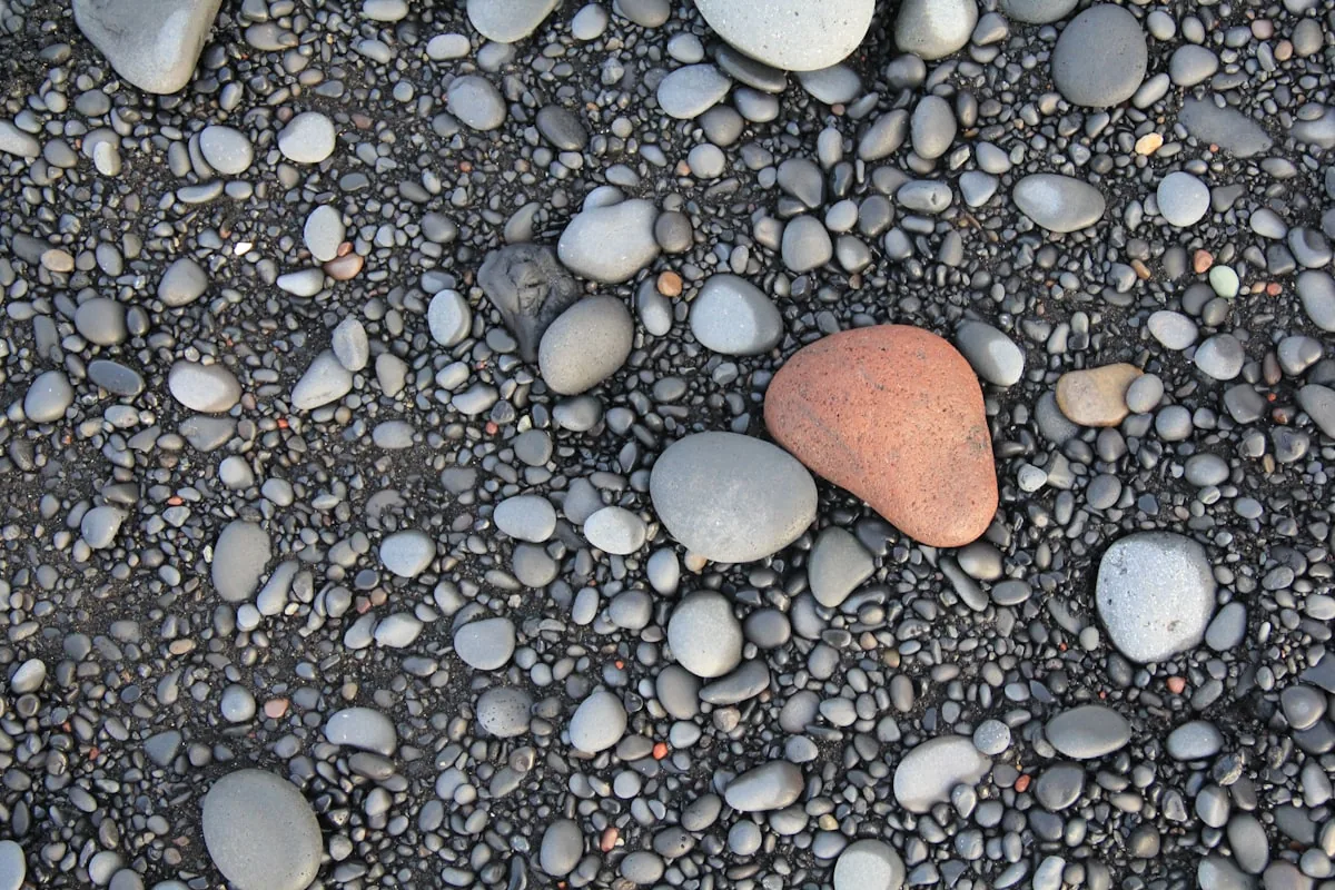 Riga — One of the meaningful places and quiet rituals that makes Riga worth the trip