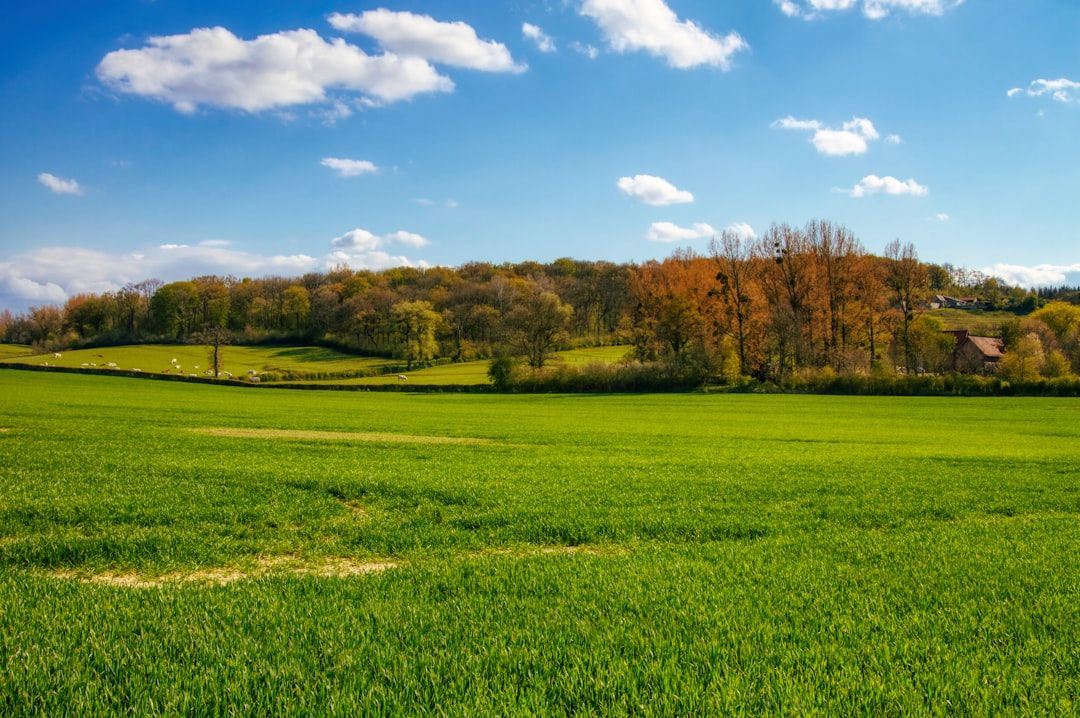 France countryside nature landscape