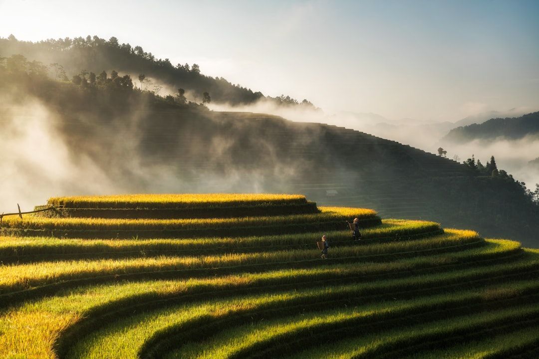Vietnam countryside nature landscape